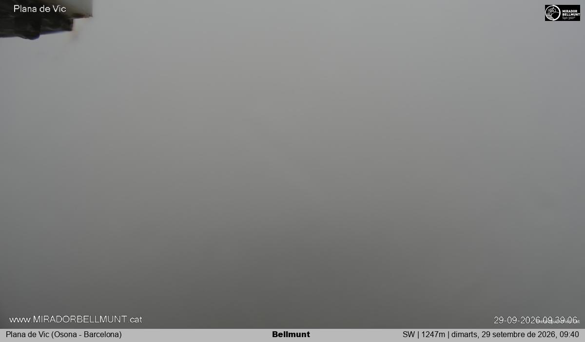 Bellmunt