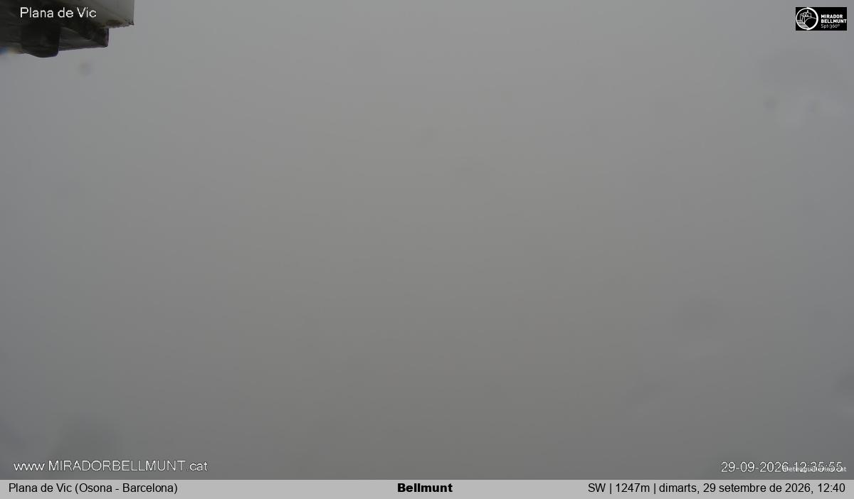 Bellmunt