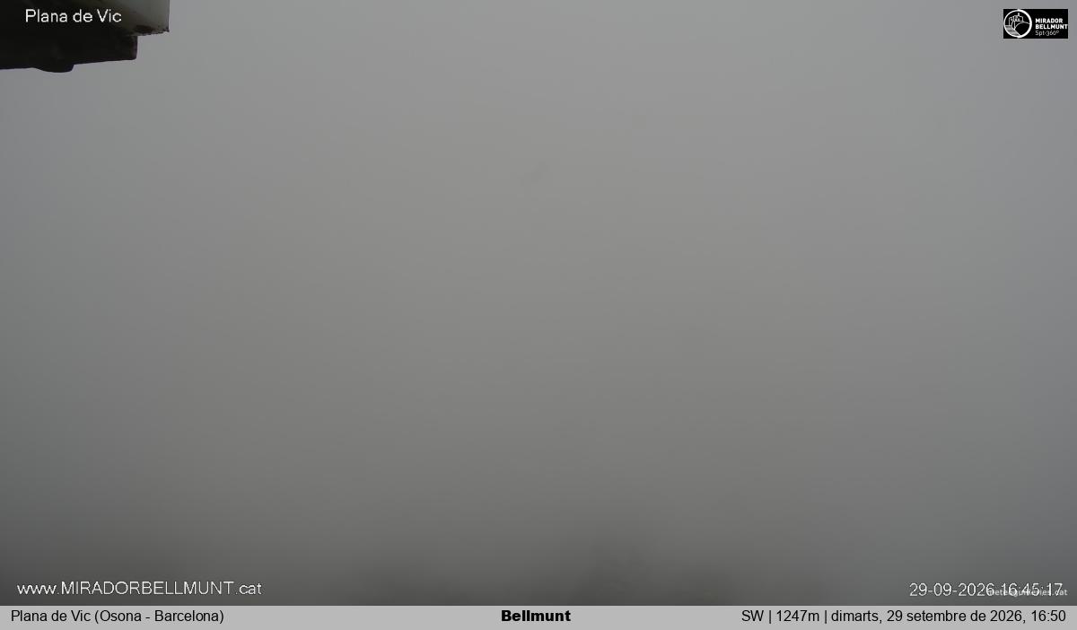 Bellmunt