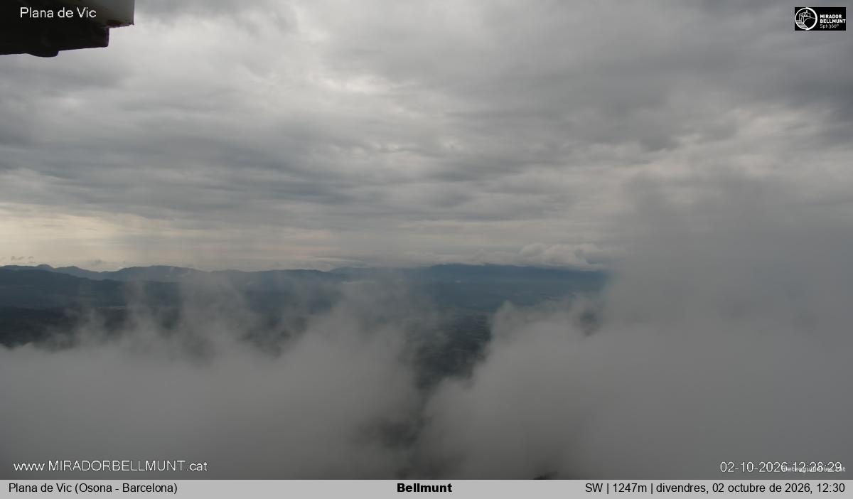 Bellmunt