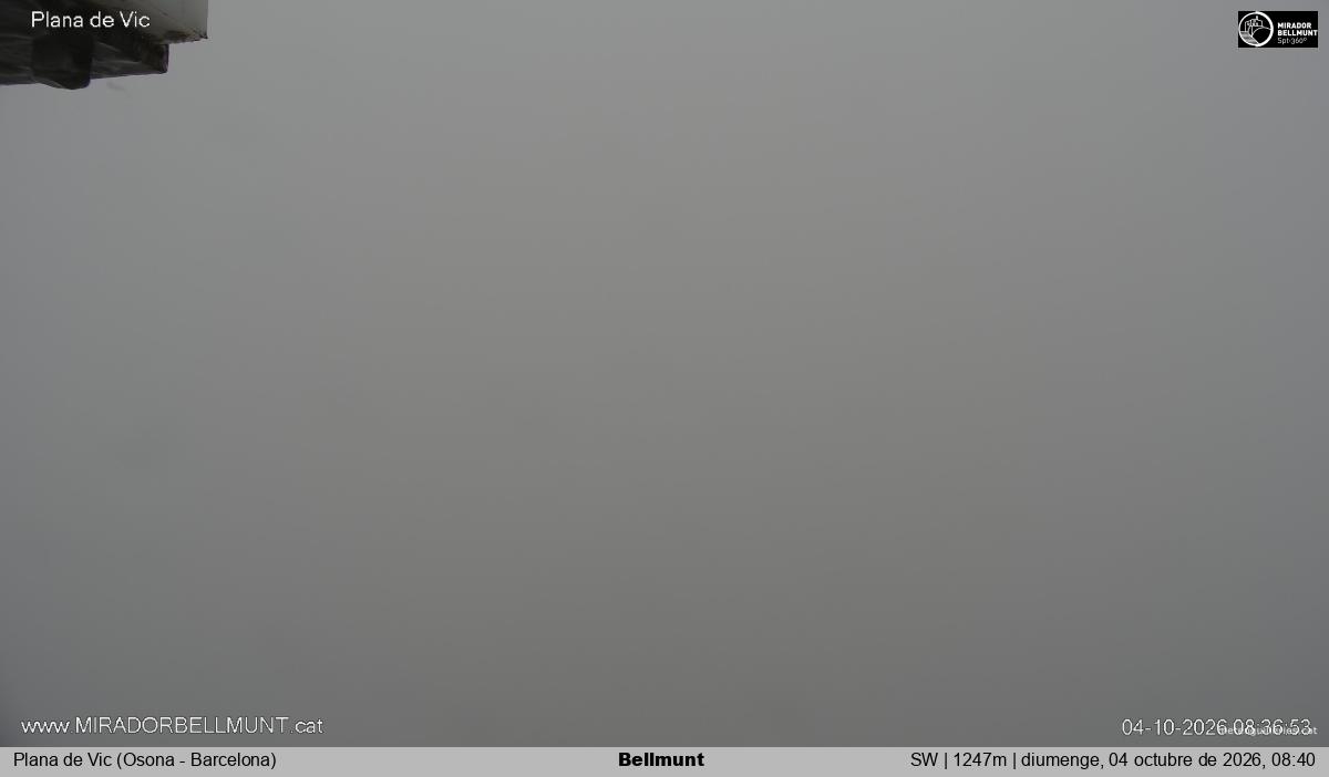 Bellmunt