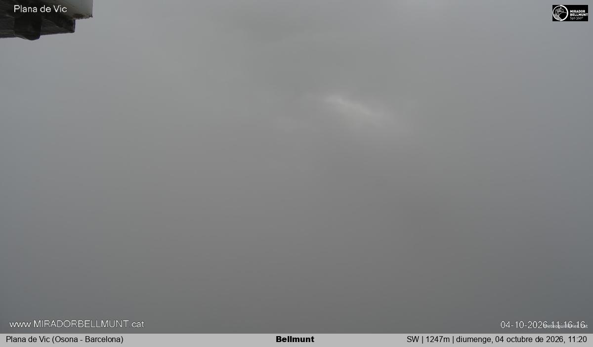Bellmunt