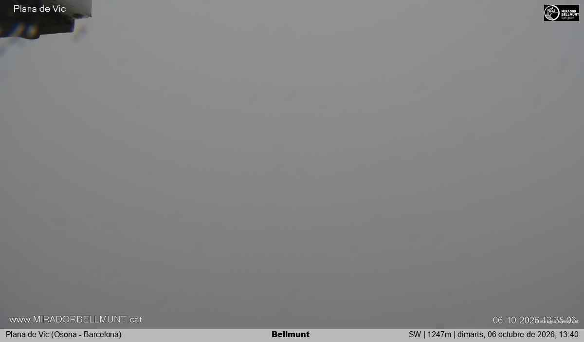 Bellmunt