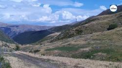 Webcams