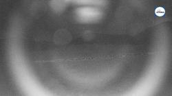 Webcams