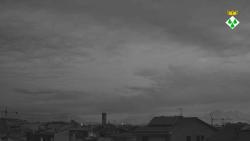 Webcams
