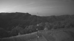 Webcams