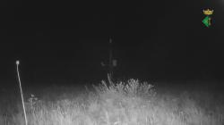 Webcams