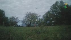 Webcams