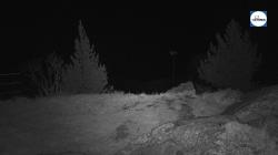 Webcams
