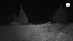 Webcams