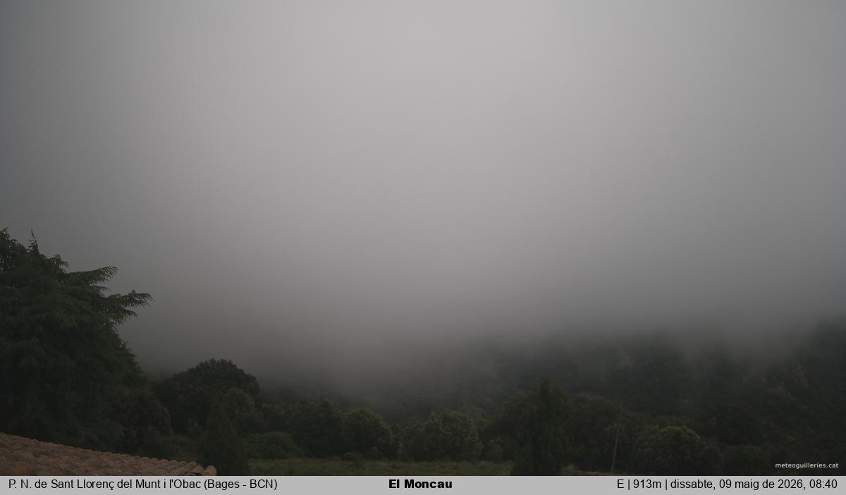 El Moncau