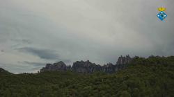 Webcams