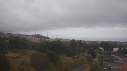 Webcams