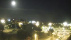 Webcams