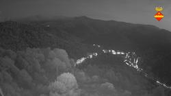 Webcams