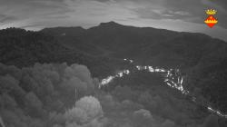 Webcams