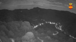 Webcams