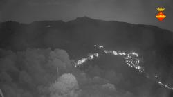 Webcams