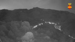 Webcams