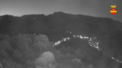 Webcams