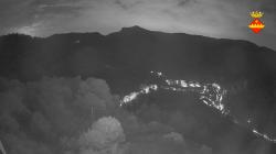 Webcams