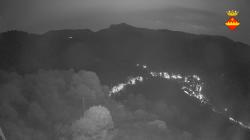 Webcams