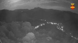 Webcams
