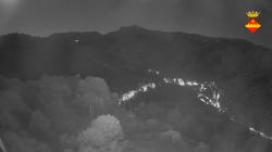 Webcams