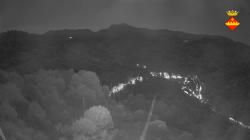 Webcams