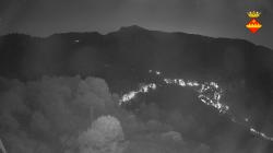 Webcams