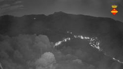 Webcams