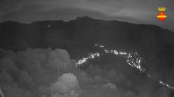 Webcams
