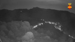 Webcams