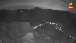 Webcams