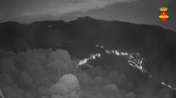 Webcams
