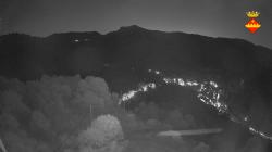Webcams