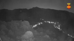 Webcams