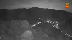 Webcams