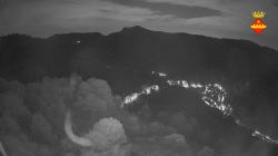 Webcams