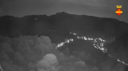 Webcams