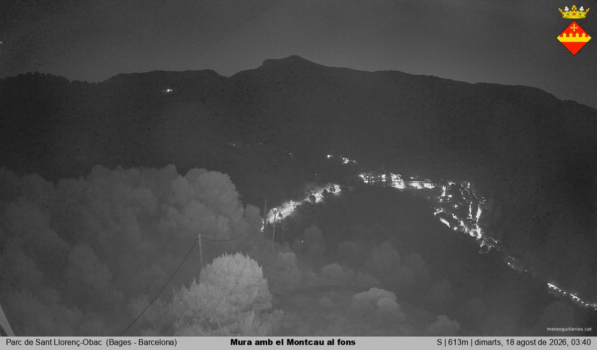 Mura amb el Montcau al fons