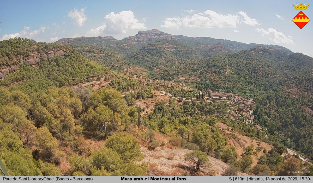 Mura amb el Montcau al fons