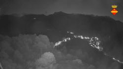 Webcams