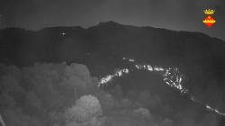 Webcams