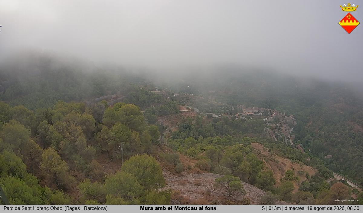 Mura amb el Montcau al fons
