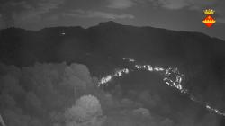 Webcams