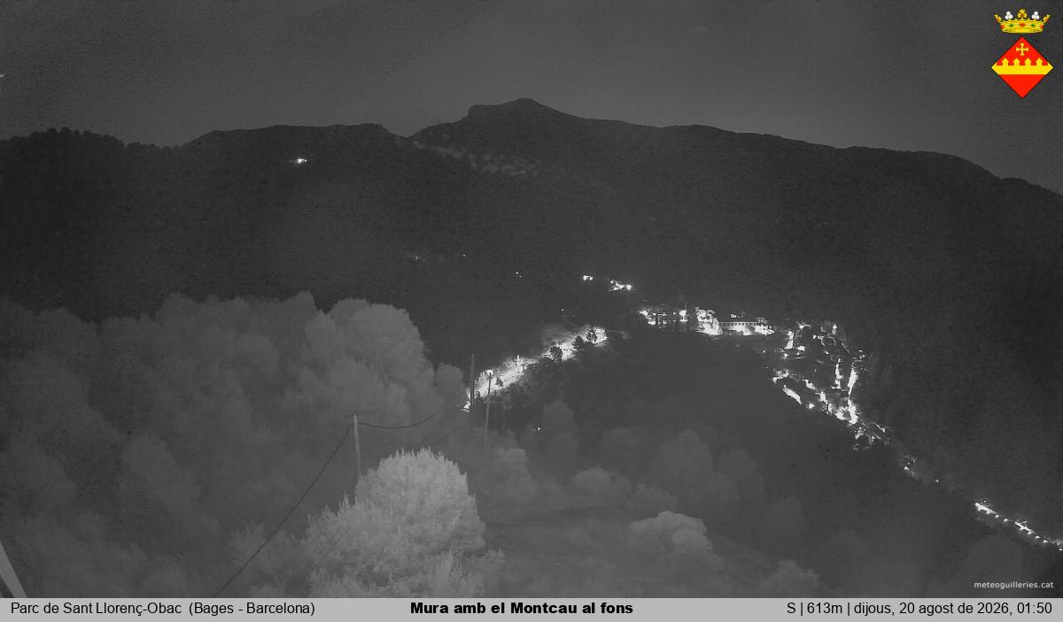 Mura amb el Montcau al fons