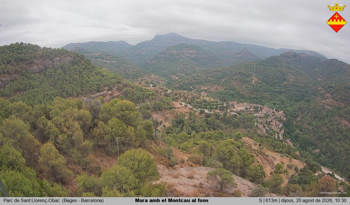 Mura amb el Montcau al fons