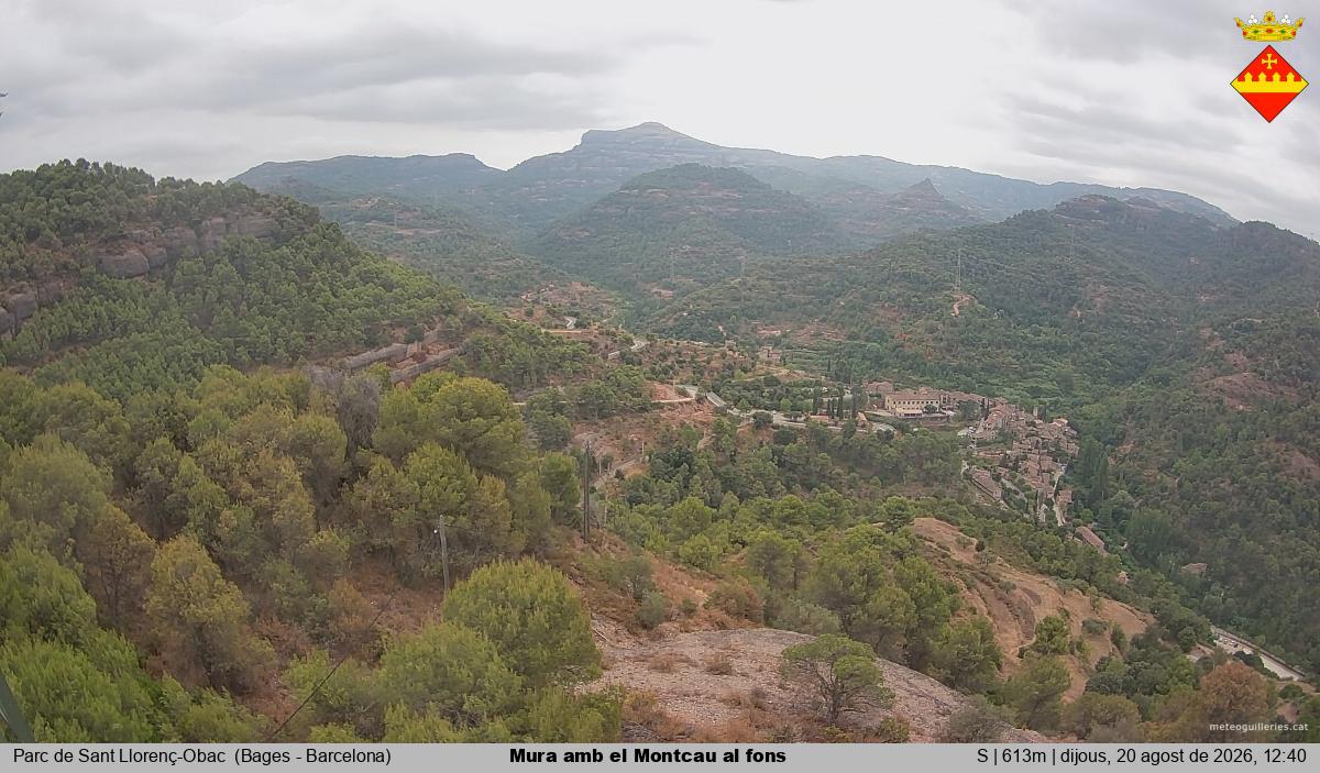 Mura amb el Montcau al fons